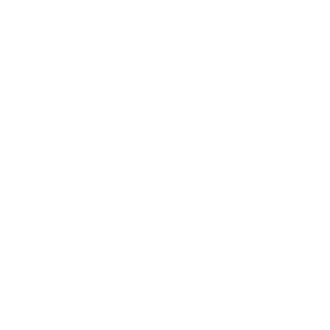 CV